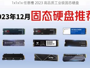 1x1x1x 任意槽 2023 高品质工业级固态硬盘