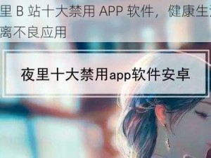 夜里 B 站十大禁用 APP 软件，健康生活，远离不良应用