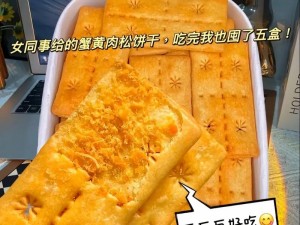 双胞胎一前一后夹心饼干双子全攻略——助你轻松驾驭夹心饼干新玩法