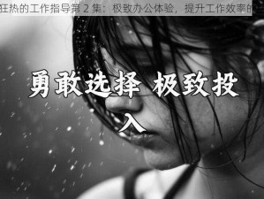 惩戒 2 狂热的工作指导第 2 集：极致办公体验，提升工作效率的绝佳选择