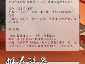 关于忘川风华录李师师天命与顶尖PVP阵容配置的深度解析