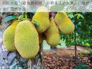 100 水莓 100 免费视频，新鲜美味的水果，口感鲜美，营养丰富