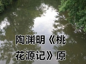 母亲的桃花源早已泛滥，你能想象吗？