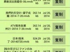 磁力猫电脑版下载链接及详细安装指南