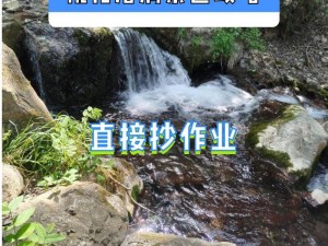 实地探访桃花洞口现状，一探神秘商品真面目