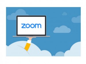 Zoom 人是什么？Zoom 大吗？