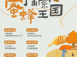 探索时光之谜：蜜蜂蜜蜂蜜蜂的关卡攻略