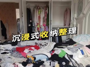 家政秘笈：《收纳物语》第77关突破攻略——专业收纳大师的秘密技巧