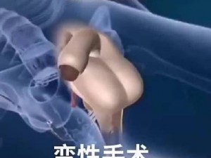 男生变女生身体还变小了视频：神奇的性别转换特效道具