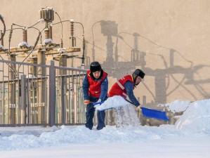 冰原守卫者修复雪橇框架：挑战严寒，守护雪域征途的出行安全