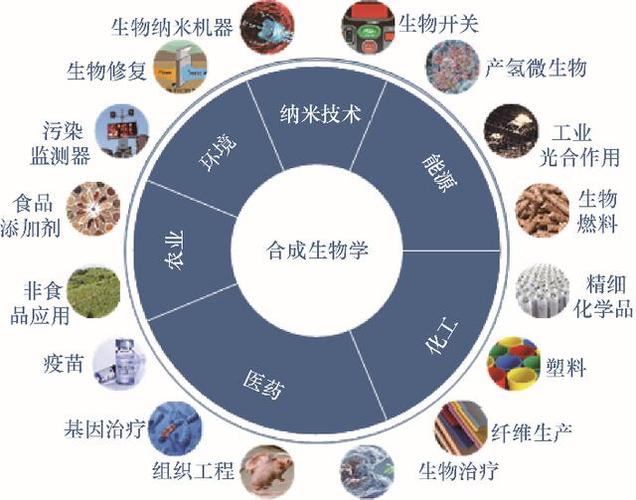 饥荒中的生物共融之谜：蜘蛛巢与奇妙生物的共生效应