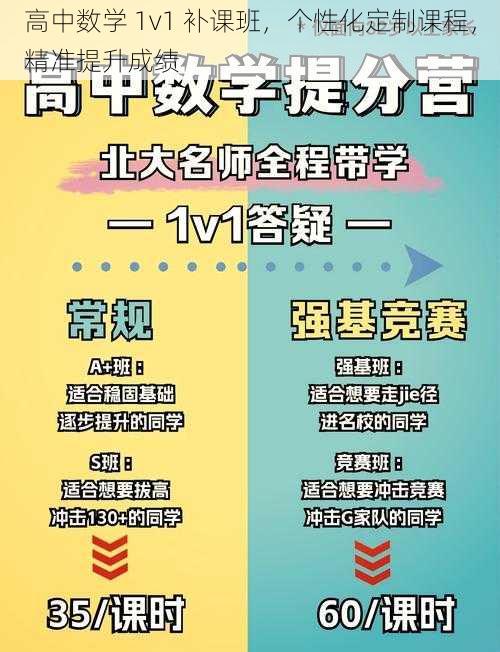 高中数学 1v1 补课班，个性化定制课程，精准提升成绩