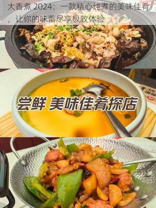 大香煮 2024：一款精心炖煮的美味佳肴，让你的味蕾尽享极致体验