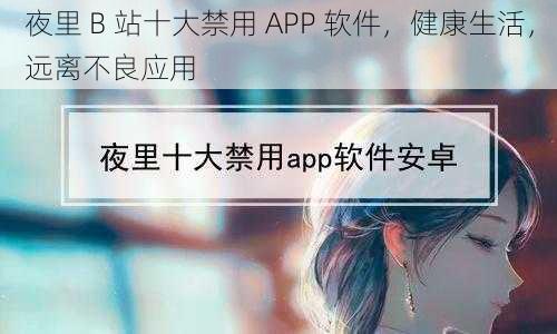 夜里 B 站十大禁用 APP 软件，健康生活，远离不良应用