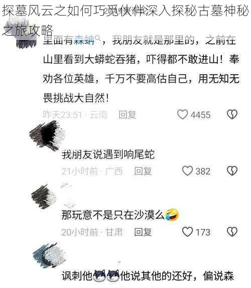 探墓风云之如何巧觅伙伴深入探秘古墓神秘之旅攻略