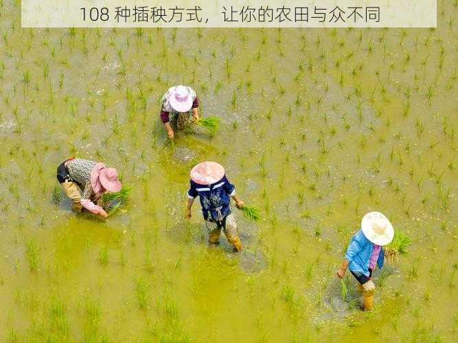 108 种插秧方式，让你的农田与众不同