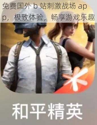 免费国外 b 站刺激战场 app，极致体验，畅享游戏乐趣