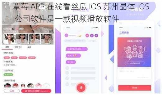 草莓 APP 在线看丝瓜 IOS 苏州晶体 IOS 公司软件是一款视频播放软件