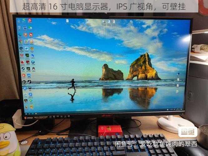 超高清 16 寸电脑显示器，IPS 广视角，可壁挂