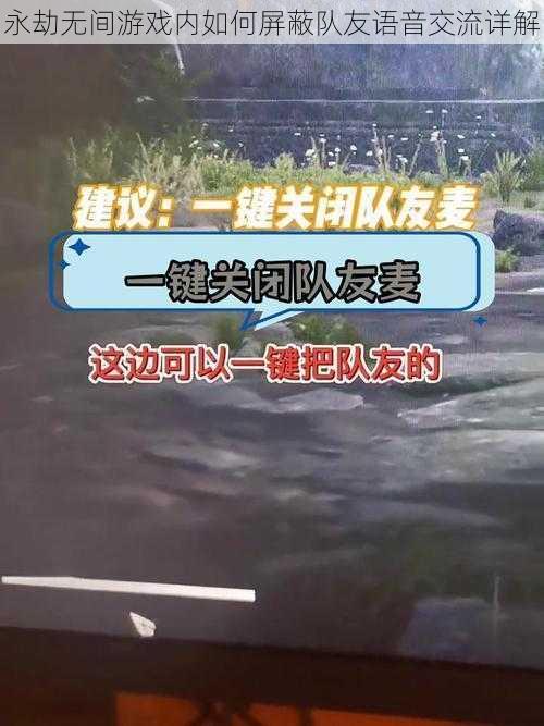 永劫无间游戏内如何屏蔽队友语音交流详解