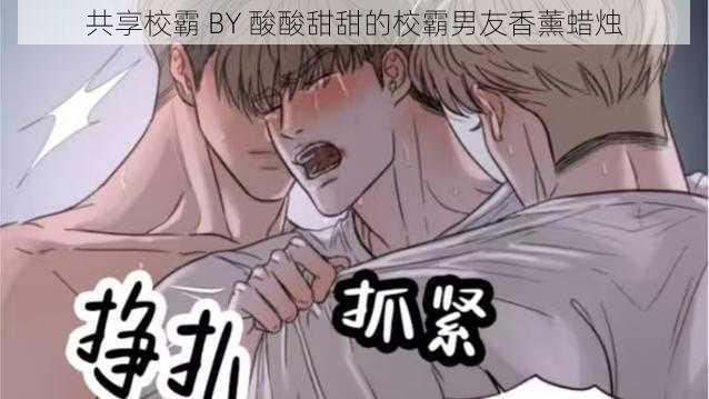 共享校霸 BY 酸酸甜甜的校霸男友香薰蜡烛