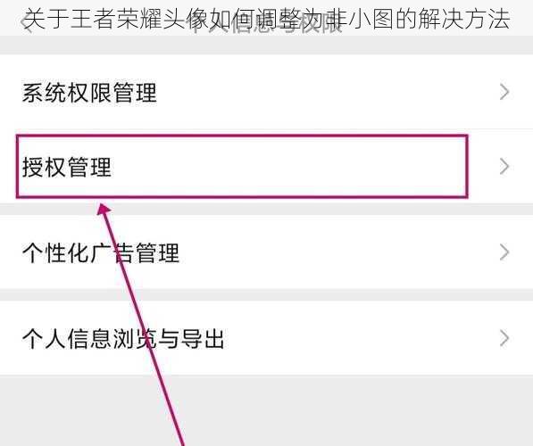 关于王者荣耀头像如何调整为非小图的解决方法