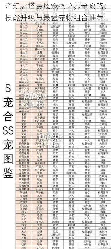 奇幻之塔最炫宠物培养全攻略：技能升级与最强宠物组合推荐