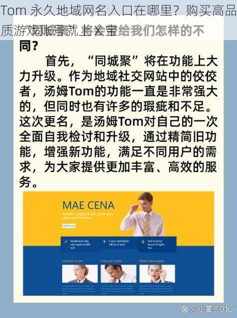 Tom 永久地域网名入口在哪里？购买高品质游戏账号就上 X 宝