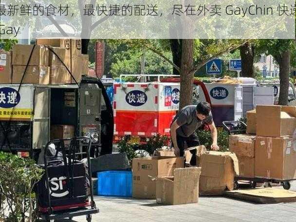 最新鲜的食材，最快捷的配送，尽在外卖 GayChin 快递 Gay