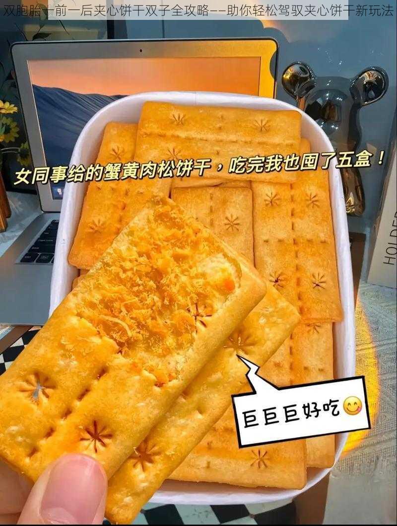 双胞胎一前一后夹心饼干双子全攻略——助你轻松驾驭夹心饼干新玩法