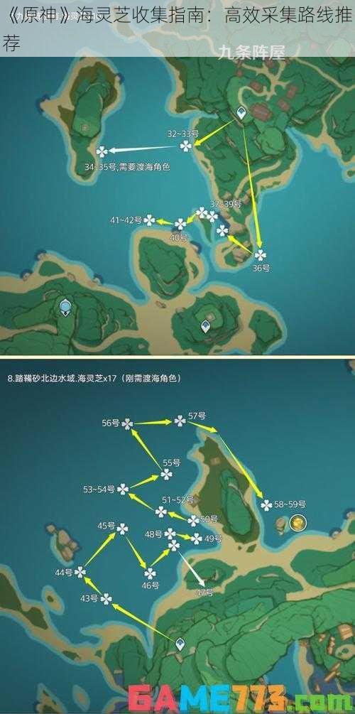 《原神》海灵芝收集指南：高效采集路线推荐