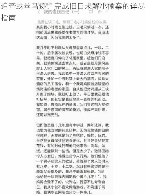 追查蛛丝马迹：完成旧日未解小偷案的详尽指南