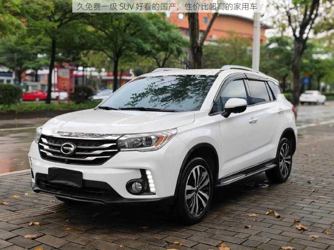 久免费一级 SUV 好看的国产，性价比超高的家用车