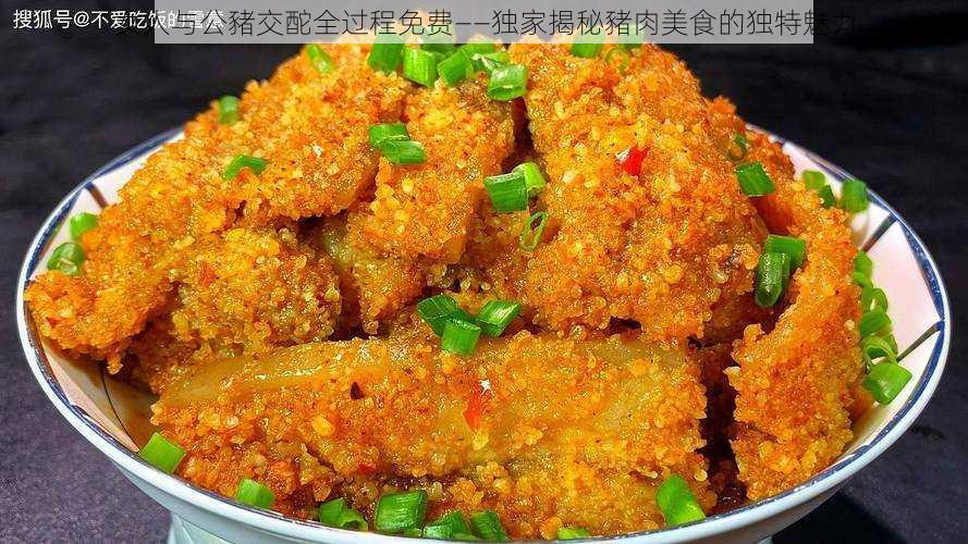 女人与公豬交酡全过程免费——独家揭秘豬肉美食的独特魅力